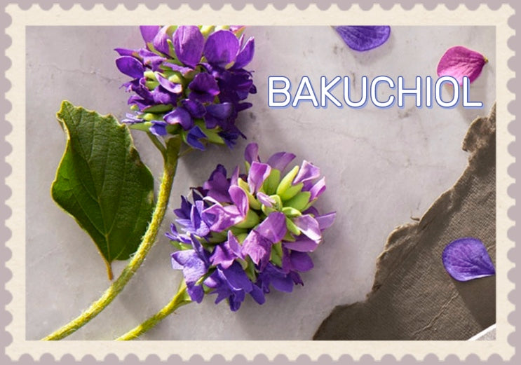 Bakuchiol : la Magie Naturelle